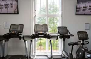 Bright cardio room in the luxury gym at Greenwoods Hotel & Spa featuring treadmills and exercise bikes with large windows overlooking the grounds