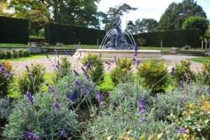 Landscaped wedding gardens with lavender and fountain at Greenwoods Hotel and Spa in Essex.
